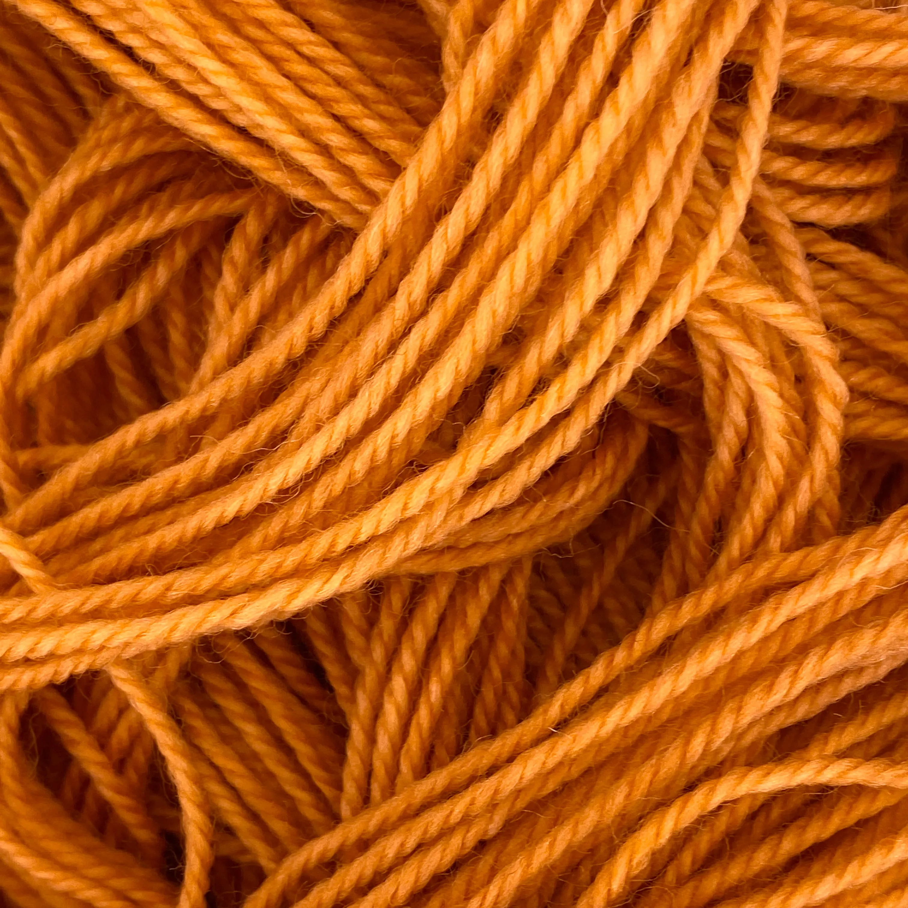 Barbury Sock Mini (20g) - Taste Of Turmeric