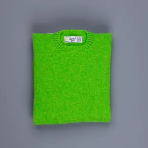 Laurence J. Smith  Super soft Seamless Crew Neck Pullover Gardenleaf
